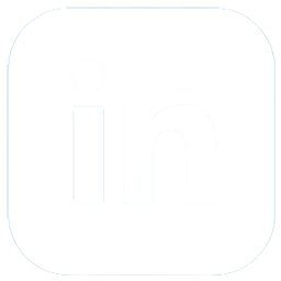 linkedin icon